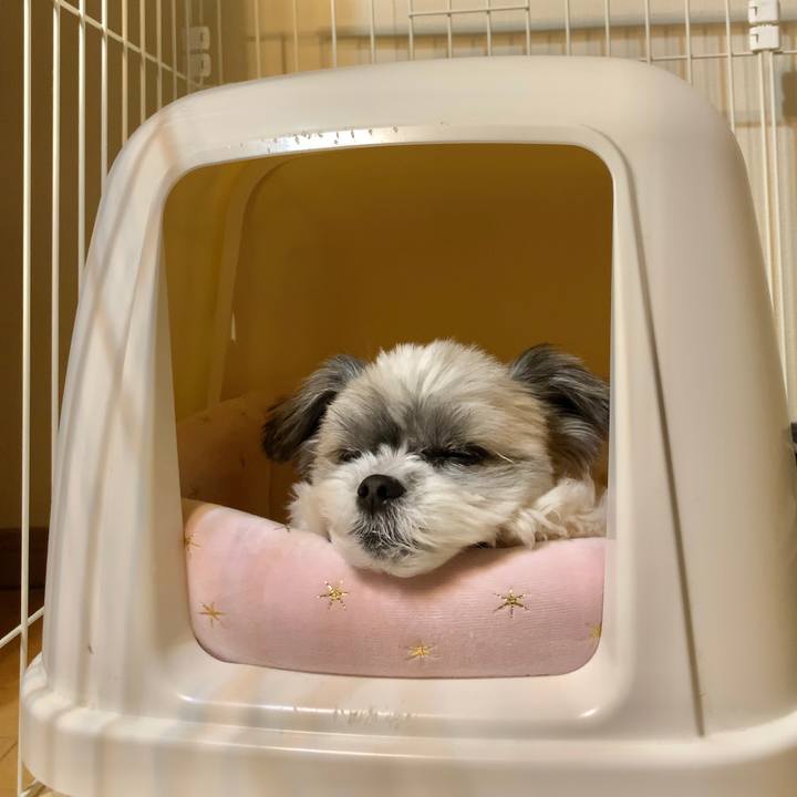 18be5bee 83da 4a6e 94cd 6db1eb794cf4 1607932401393