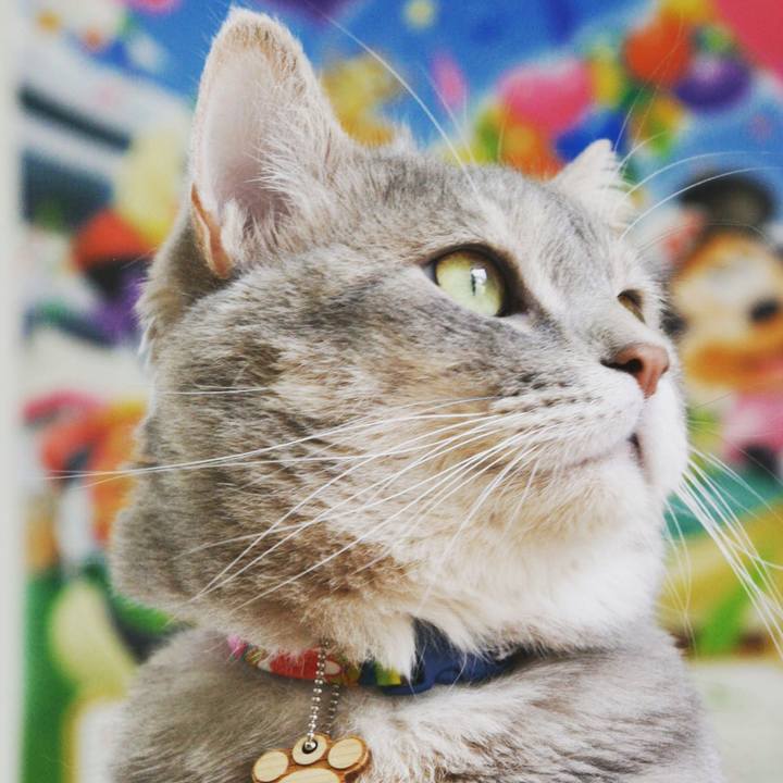 18bec9cd 3ea8 4840 8826 a760cbcf80f2 1564647733146