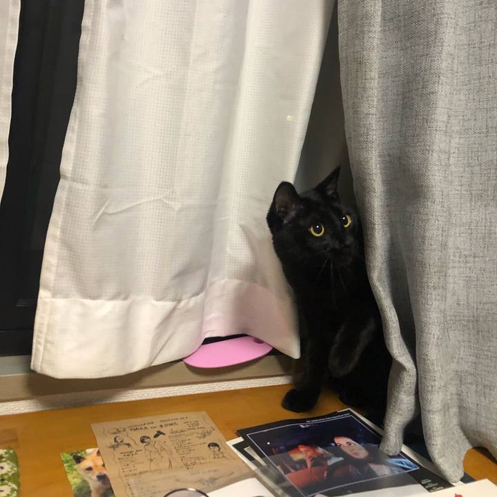 18bee031 71d7 48a2 90b8 22d1327a6e1f 1628780139210