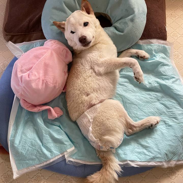 18befaff c622 4eb2 b8cd fe547bce1e9b 1666751803384