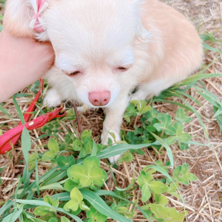 18bf31e4 790a 4823 987f 5c4bdbb52087 1657104994851