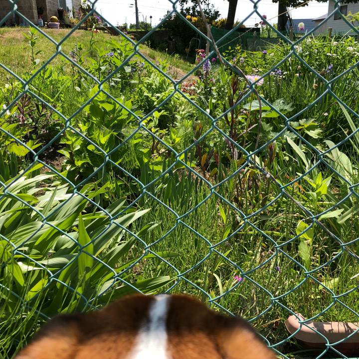 18bf48b2 98be 467a b7ae 6956d43fd7cd 1527478247185