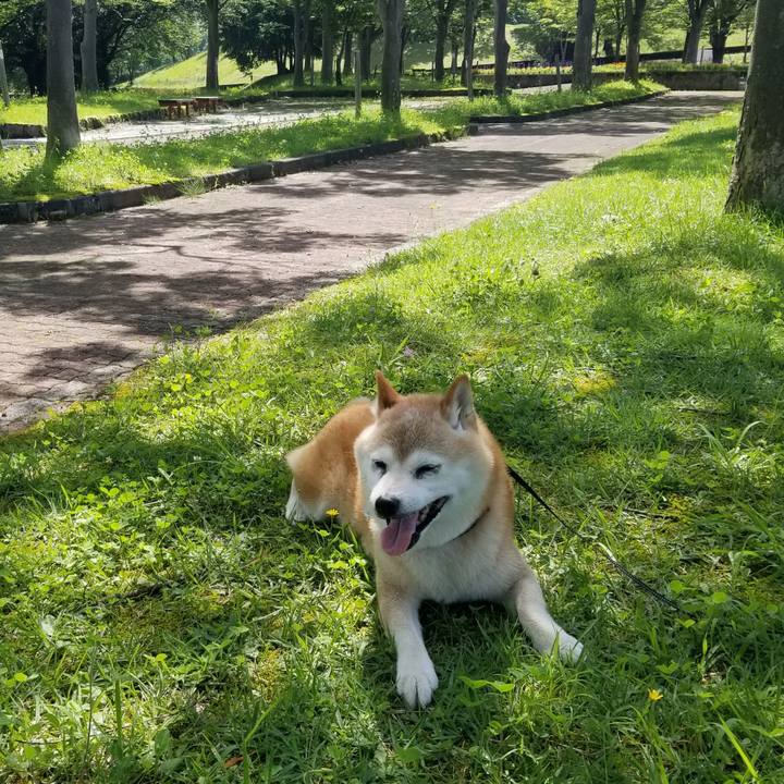 18bf6486 77d1 4d5c 9448 d2a706b9d50f 1721262464777