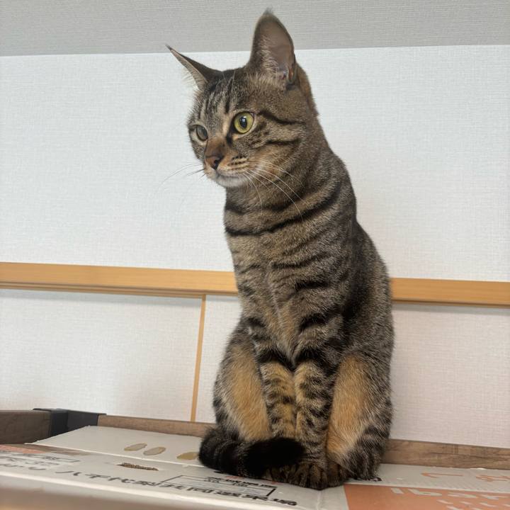 18bf677d fa55 42b9 b475 5b0d86f2c30b 1765936183562