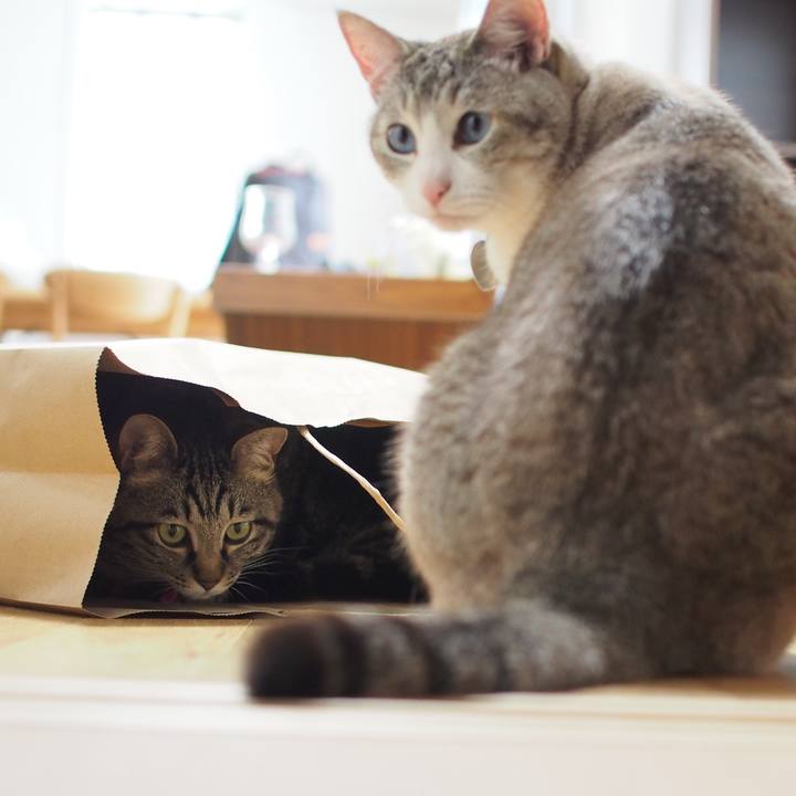 18bf89fc 6dd2 4d36 a467 0012bde593d4 1592122857953