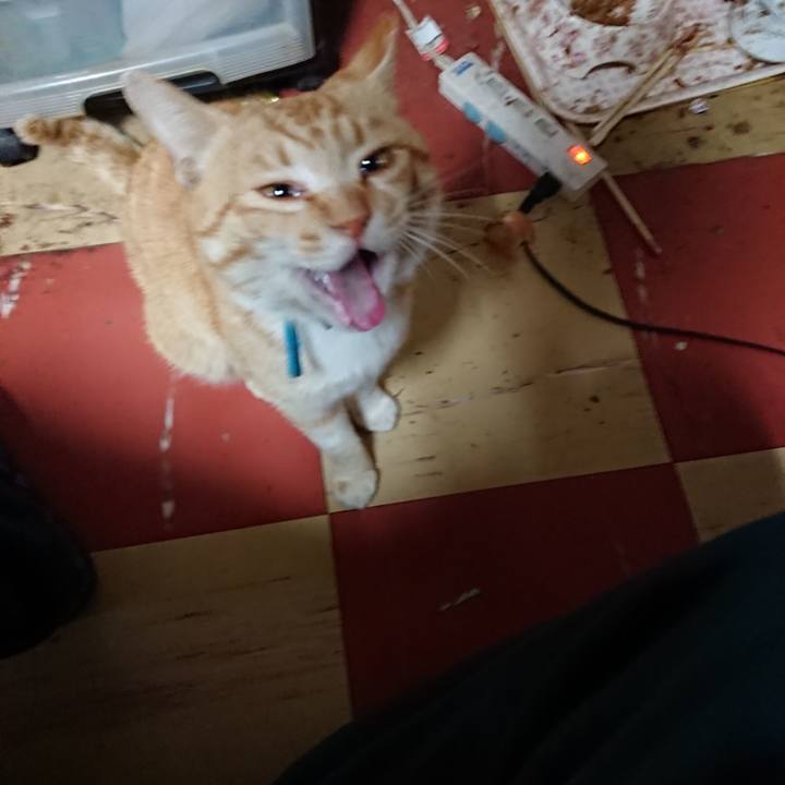 18bf8f91 265f 4109 aa3a 4b88d2f62e2d 1557087636878