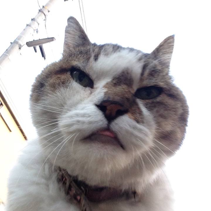 18bfa882 9d5a 44e2 ac19 55d41bb4a469 1509108264000