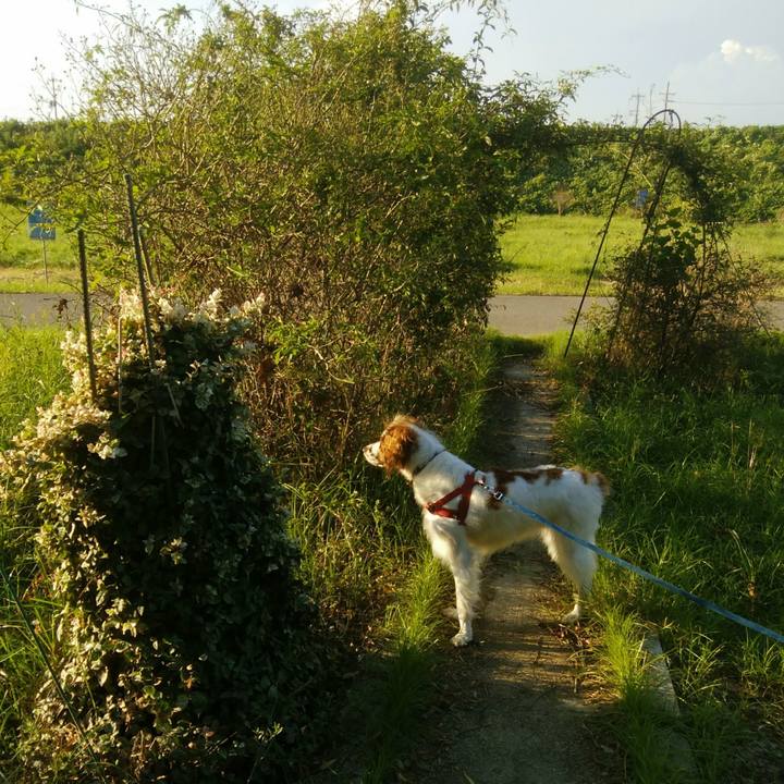 18bfd4f7 24aa 4463 8f0d 78b8e409996b 1535373687774