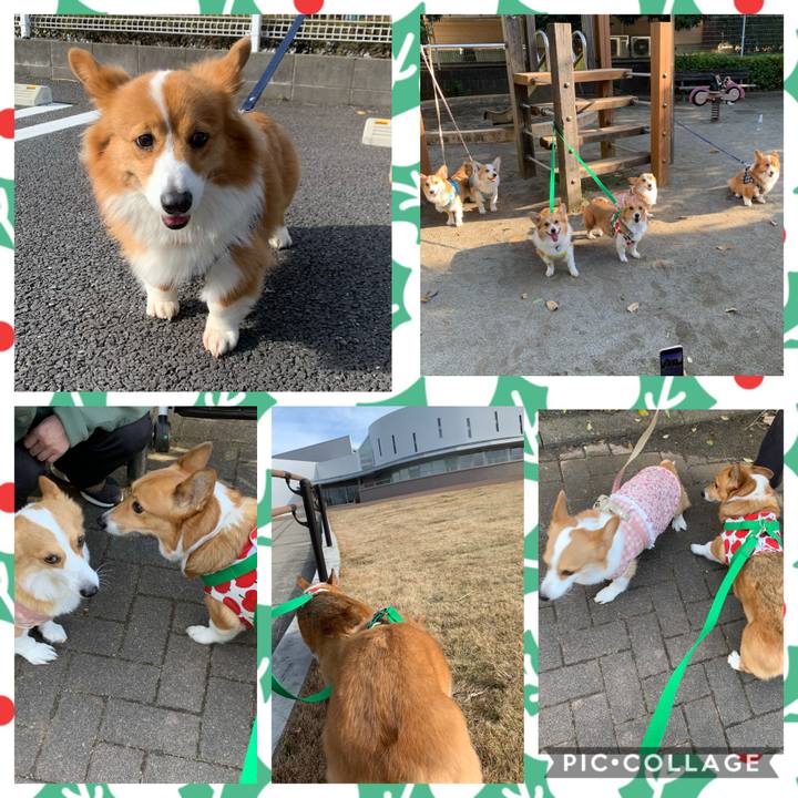 18bfda1e 2c1f 4018 84e1 b28263c34727 1576666060788