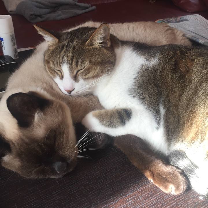 18c0192f 1e3a 4e1e 862b c5fed5604104 1519257922797