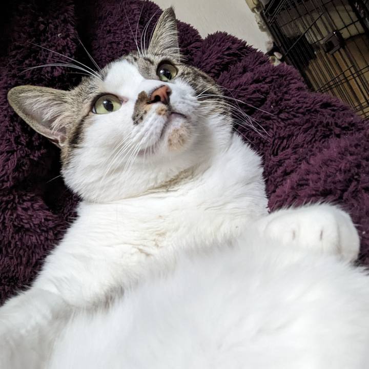 18c0205e 1da6 45cf 9955 e5414f31844d 1705123955538