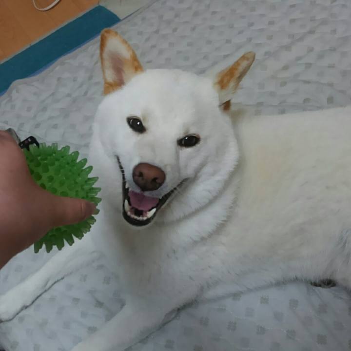 18c0492e 3e47 4423 a894 f7676d784a93 1527336274310