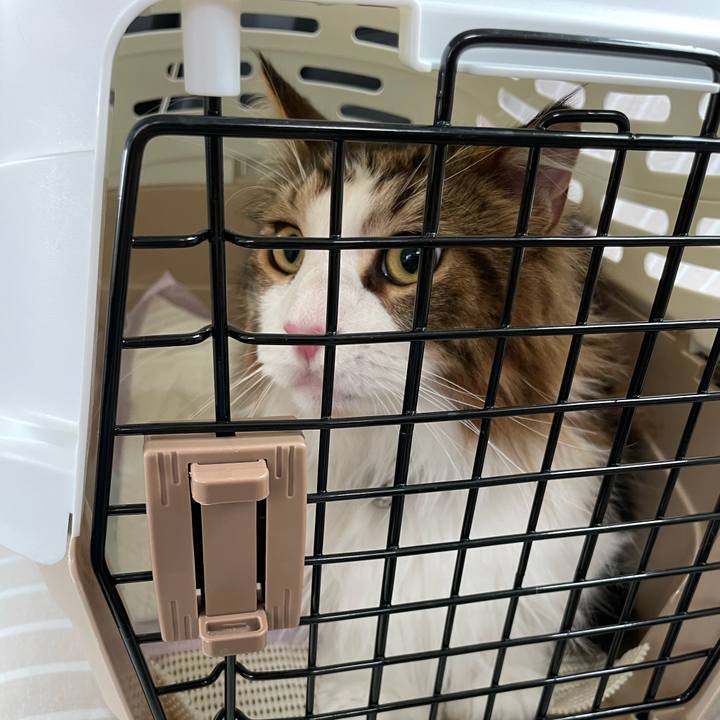 18c061ad dab3 4ba8 90ae 76e3f039bde3 1658633008087