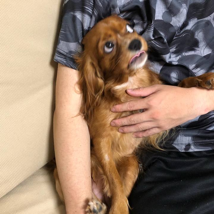 18c07490 4fe9 4056 ba39 4264b514fe27 1531752038979