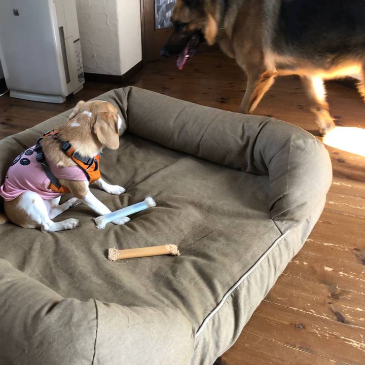 18c07a78 ad7e 43aa 9746 9626e2e54f60 1524922032602