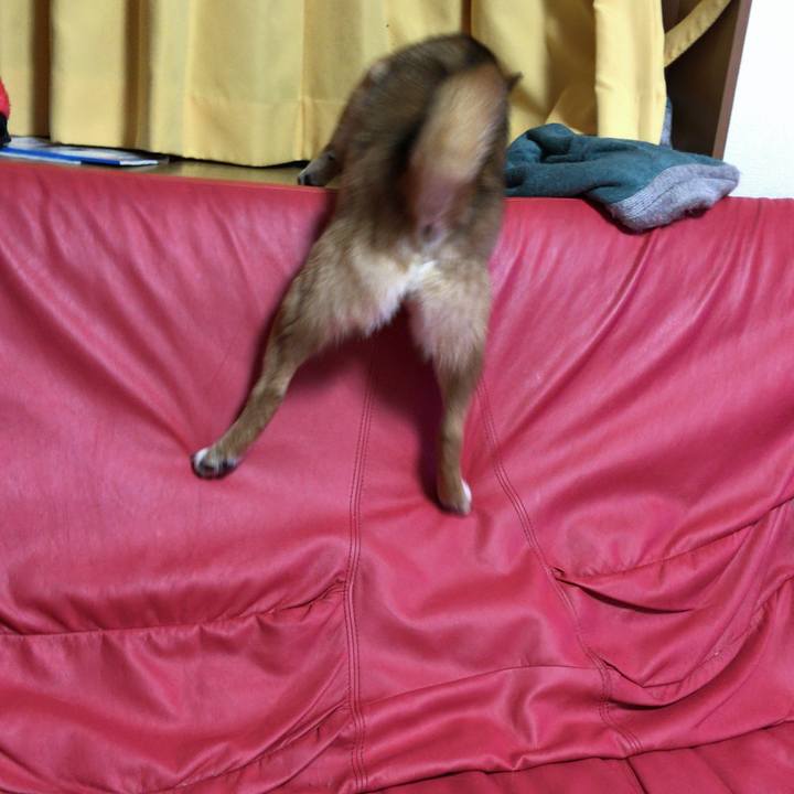 18c08f6e 829f 4ee6 8830 5c45ac33530f 1520244304466