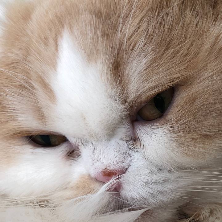 18c0a56d 6caf 4152 90ed 87241abd567f 1647131839680