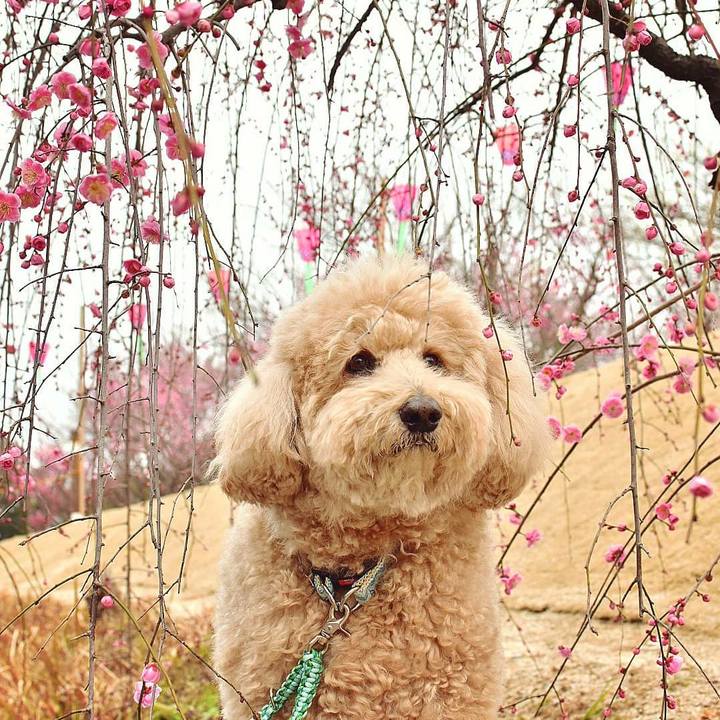 18c0c671 990a 4831 aee8 ce9bc3db7e2a 1519728283060