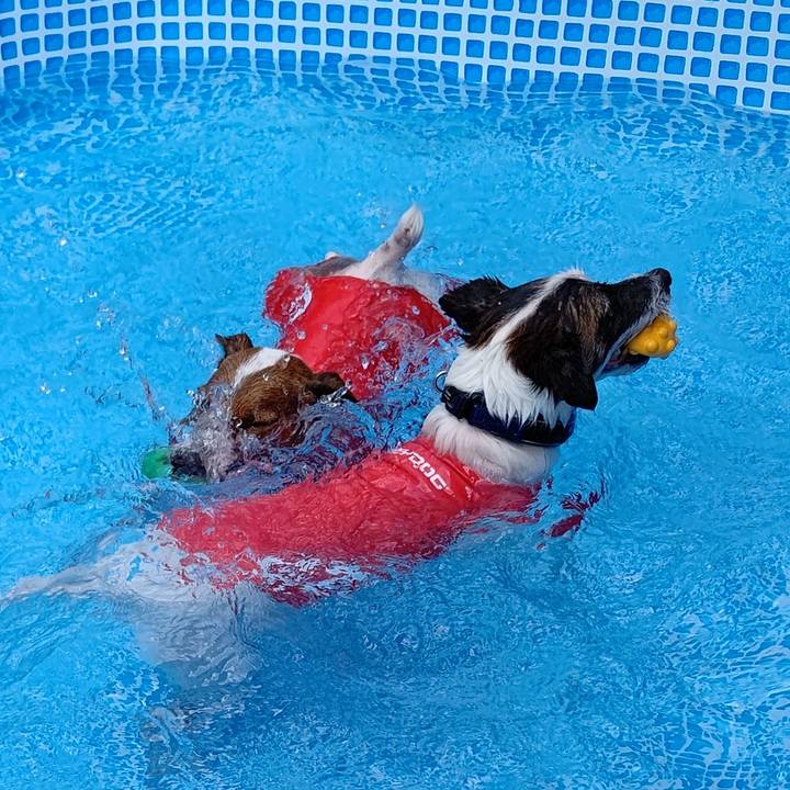 18c0e208 2efb 48a4 be6c ad5328b31c90 1659874827562