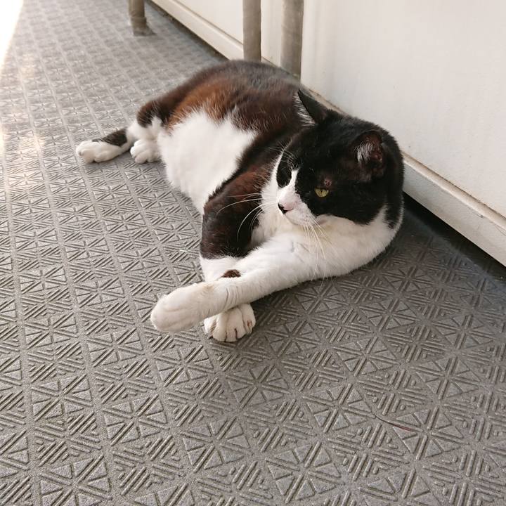 18c0f948 48b6 4b17 86ea 24a32b385fef 1568093813767