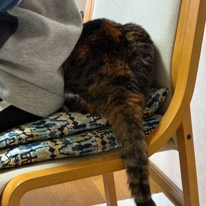 18c11516 54d8 49e3 87c7 c0c0607fabb7 1770770306151