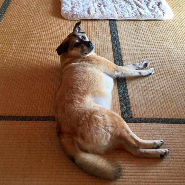 18c126af 58e1 41a8 bd09 abda959916b4 1572492385841