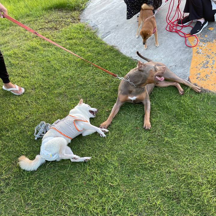 18c137f4 1958 4129 9996 8f507ad812e3 1663933114054