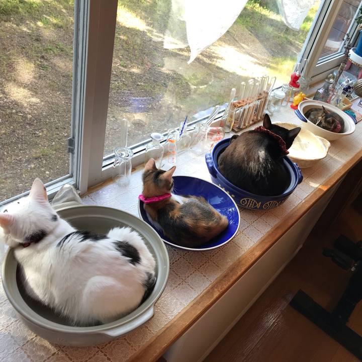 18c13a67 fe0a 43d1 81be 5441b33d7281 1599347350545