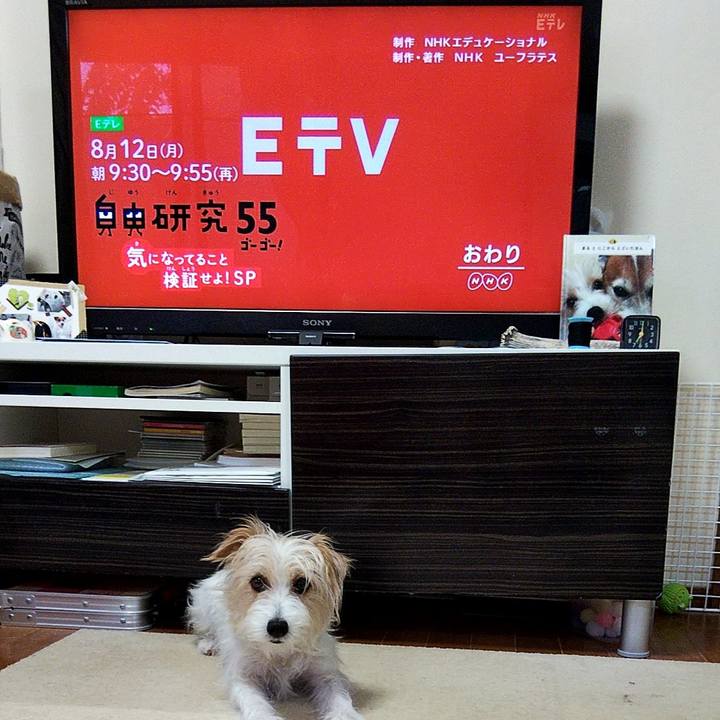 18c154e7 bd1d 4cff a138 82097eb45c46 1565302052516