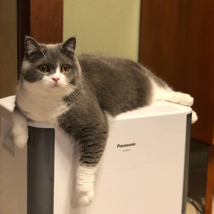 18c16986 1a10 4a02 b2ad d09d737290fb 1555886038901