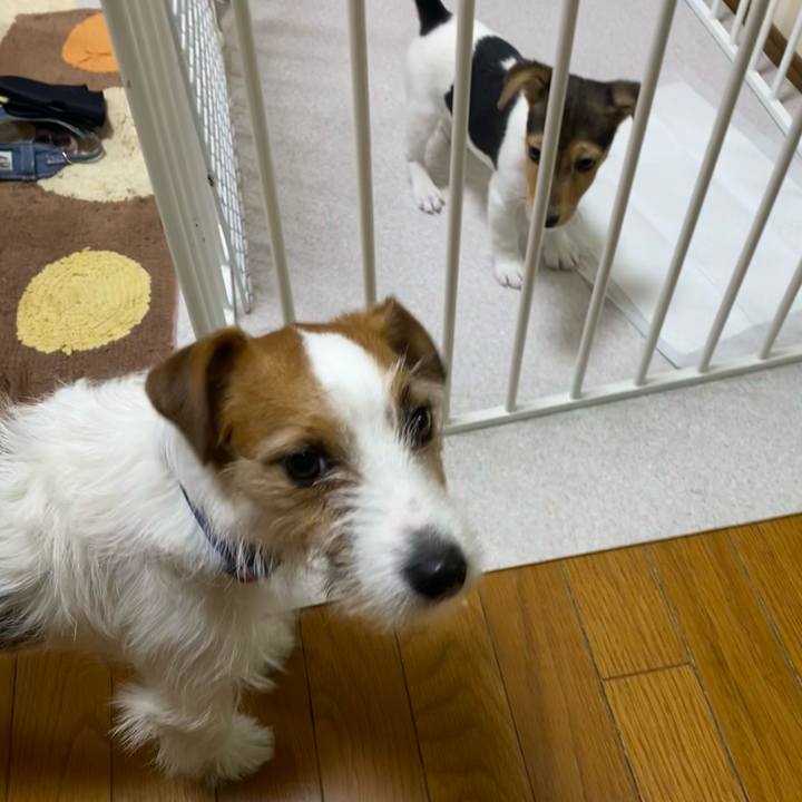 18c19010 6b1f 4fbe 8941 7ac7e12643f0 1742738506885