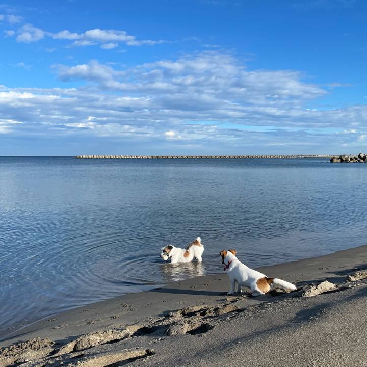 18c1a0d9 088d 403d ba5e dc0373fd2889 1632266739282