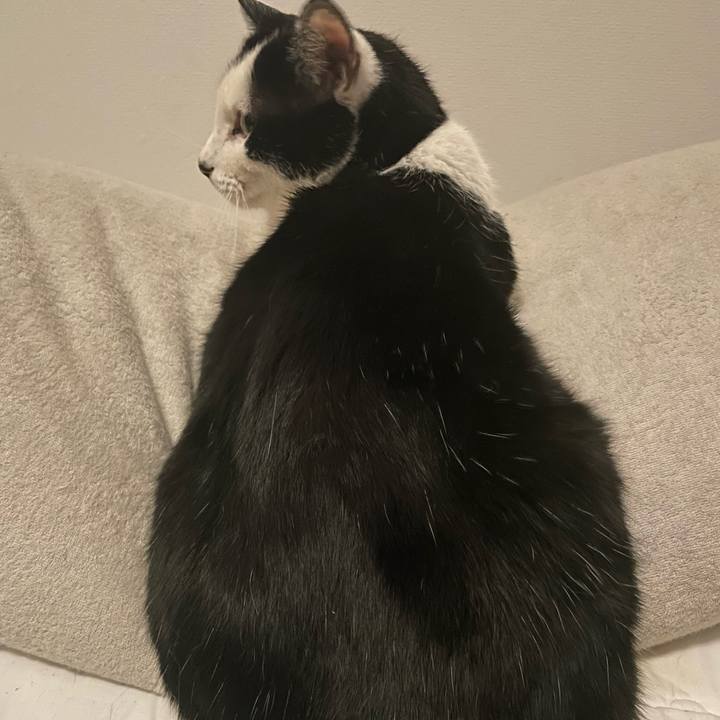 18c1ce7e d997 411d ac7d 22cf7007ff9c 1708963417704