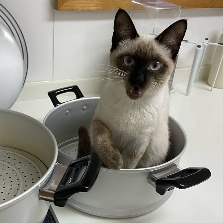 18c1e27b ed0f 4730 b5cd ce1c1b70b17a 1700163895906