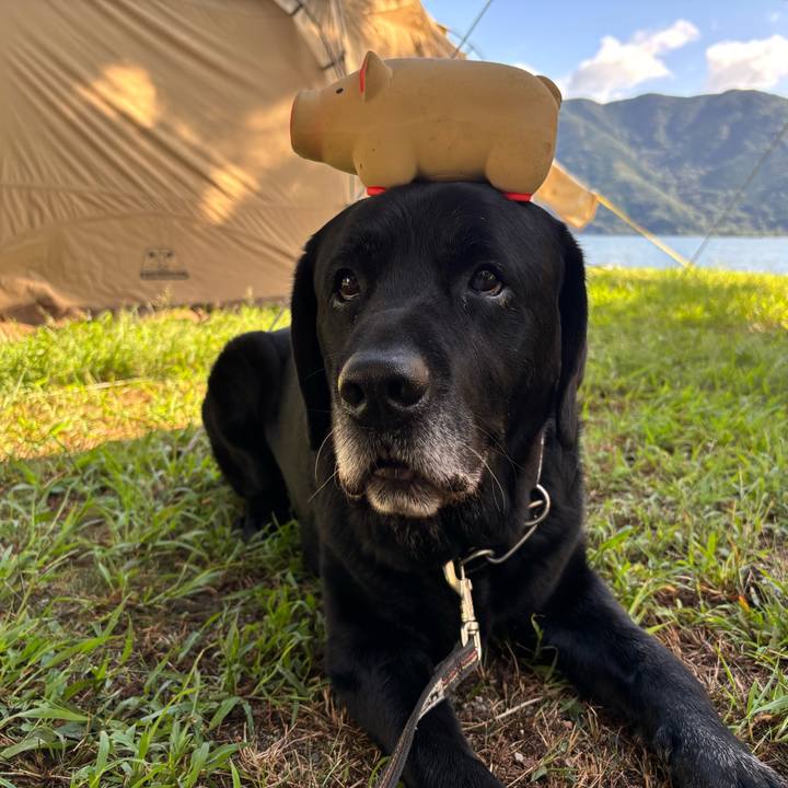 18c21ca5 6fb6 46f2 888a 190a5e12e029 1758543680904