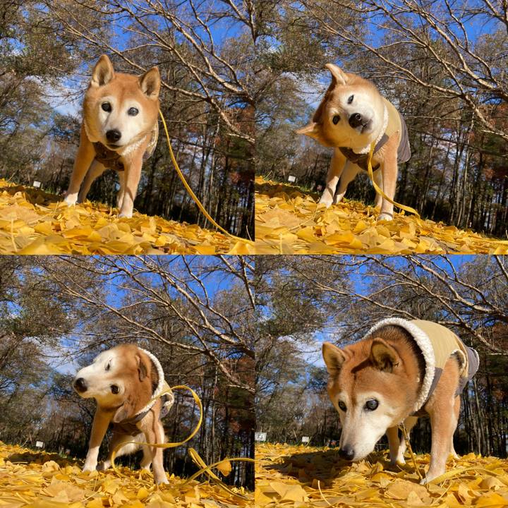 18c23e5f b56c 4768 83e3 3ece323ada65 1764995811918