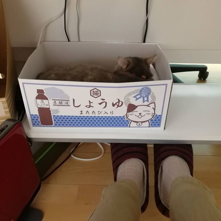 18c2685f 5eb5 4217 af2f 4ecb48074ec1 1547104240936