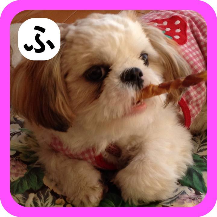 18c284b1 98a1 4cda 8315 6f32f08f582a 1515189773010