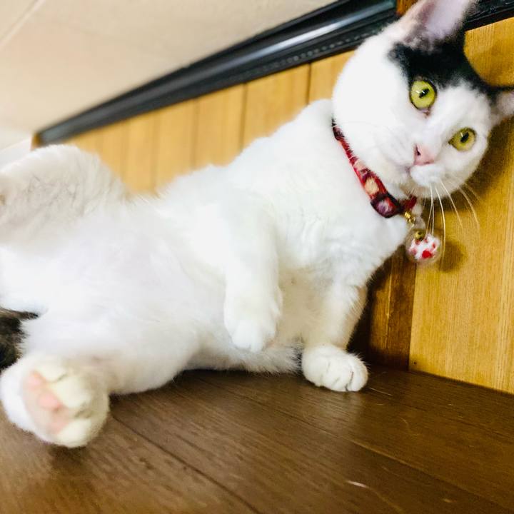 18c2ac72 3875 44ef 88b1 0600837f9379 1718748112449