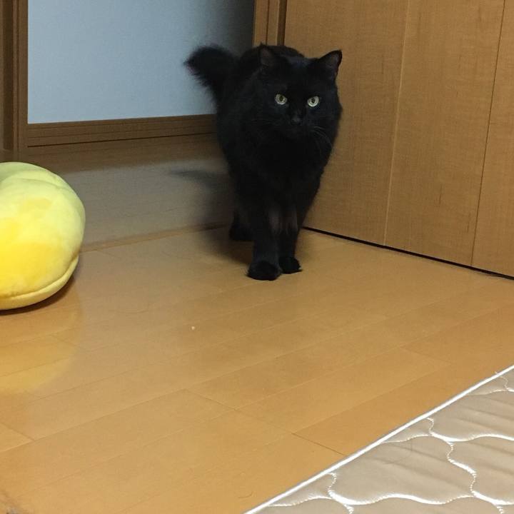 18c2de57 837c 4782 bcef 8a9d2dfaa5c6 1536331817102