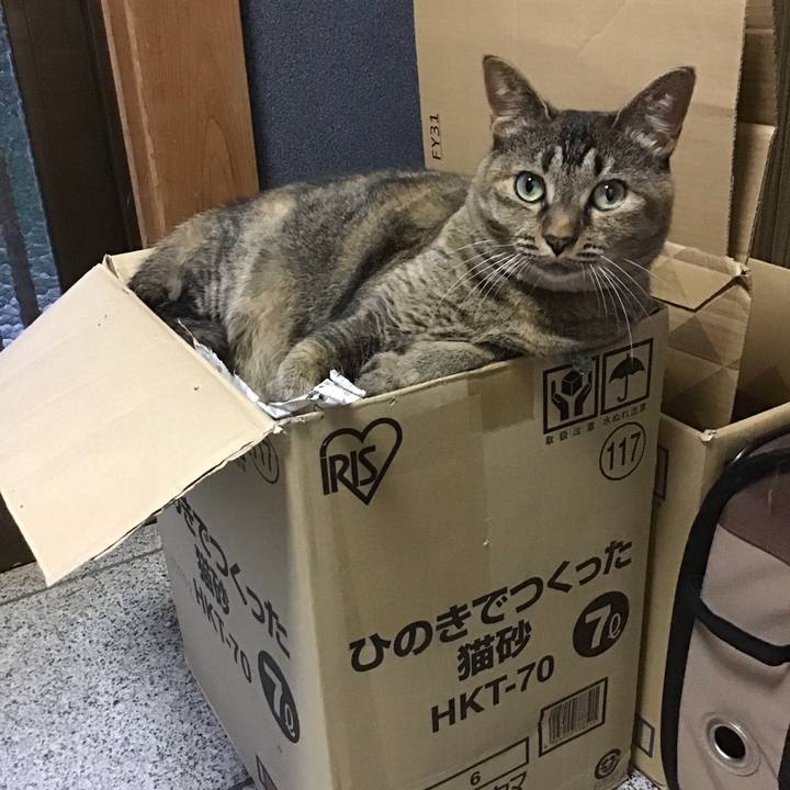 18c30bf9 bf6b 4891 871f 383e33219ac7 1690028910432