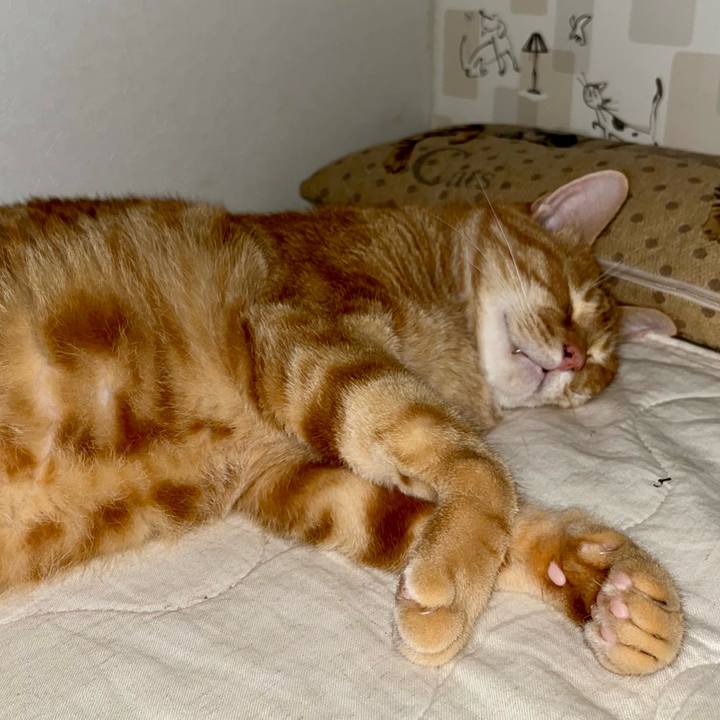 18c32fd2 66ae 425b 8281 e020ac3dec2b 1723584597161