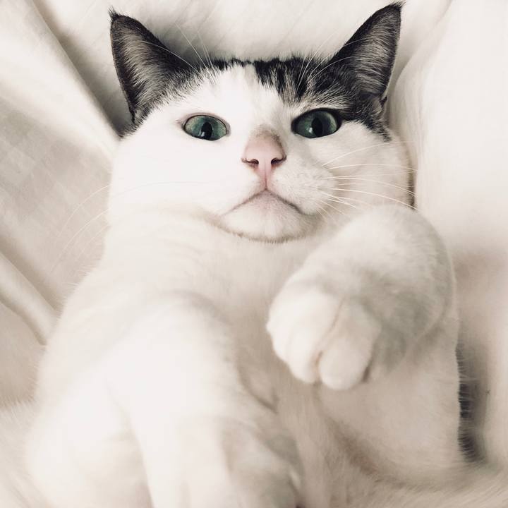 18c33a30 4f65 45c2 8c0c e7ef7f274b1a 1547600303994