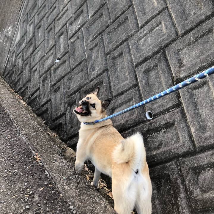 18c347c3 1528 43ef 9232 41c8a091fa64 1572090602286