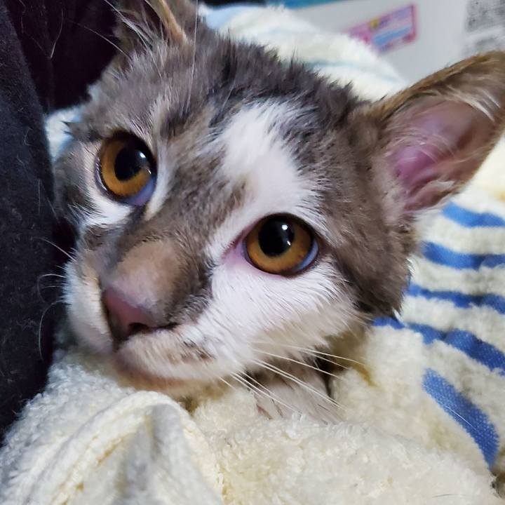 18c37b3d 8732 497f b9f5 1c35a4cf1836 1674056783859