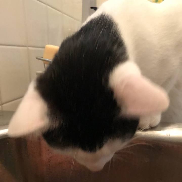 18c398d4 313d 49b5 9538 bf6c34947e5c 1530976305096