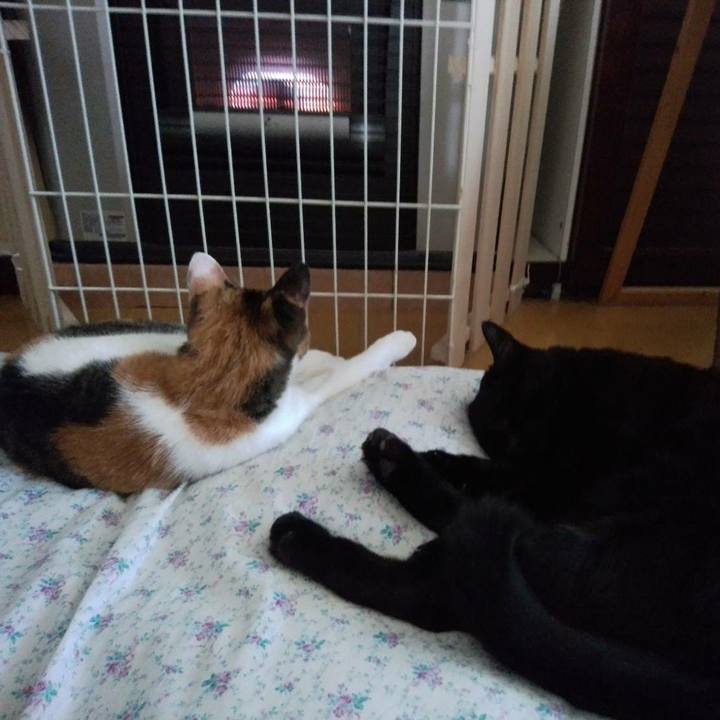 18c39e34 38b2 43fe bedb 6a810081733b 1569630289109