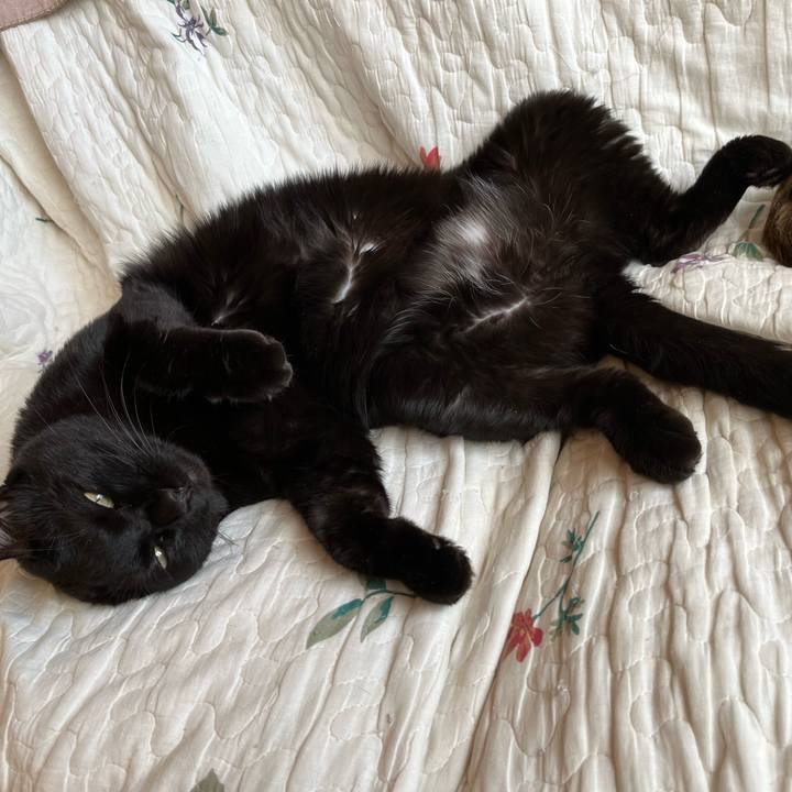 18c3a4ad 8b51 47ec a3e8 1ce4561d9380 1651700736184