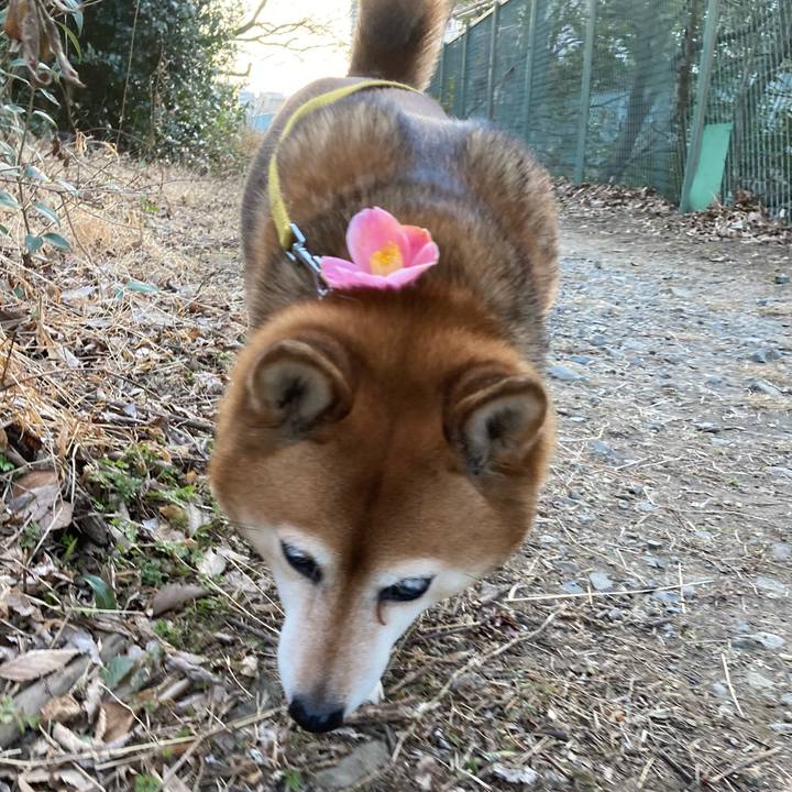 18c3e25f d175 4b48 8f2a 30cbba5e5c03 1644392907901