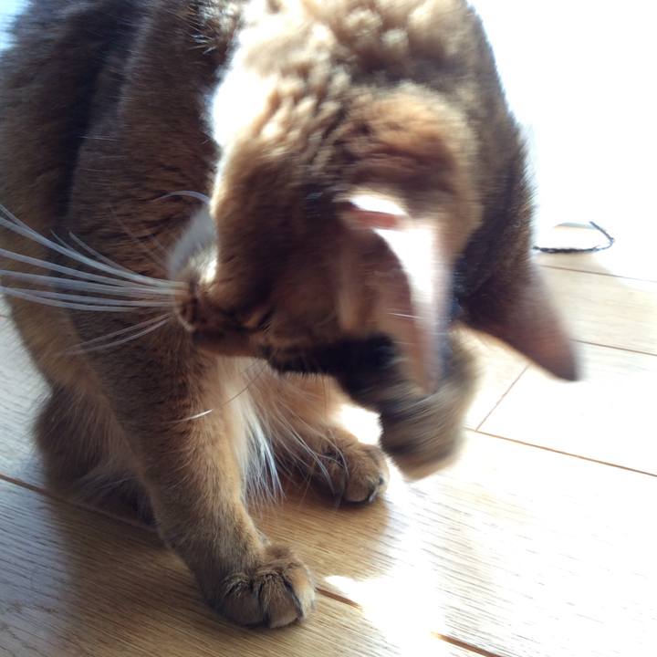 18c3f82a 3e57 40cd 8bcf f3e7e53f3595 1567388981606